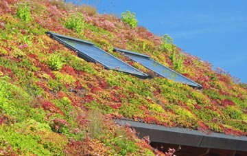 Ashchurch living roof systems